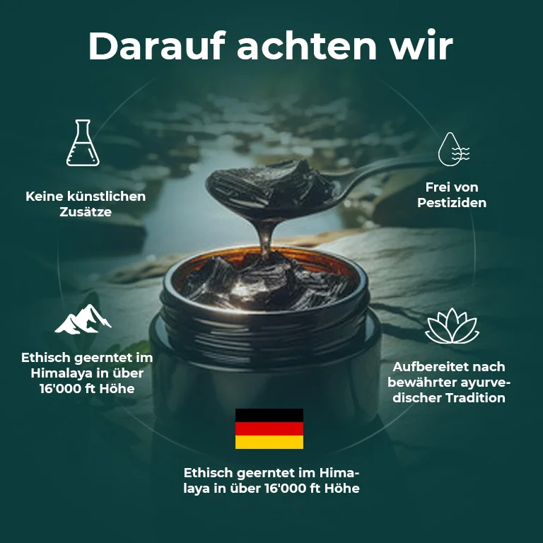 Himalaya Shilajit Image
