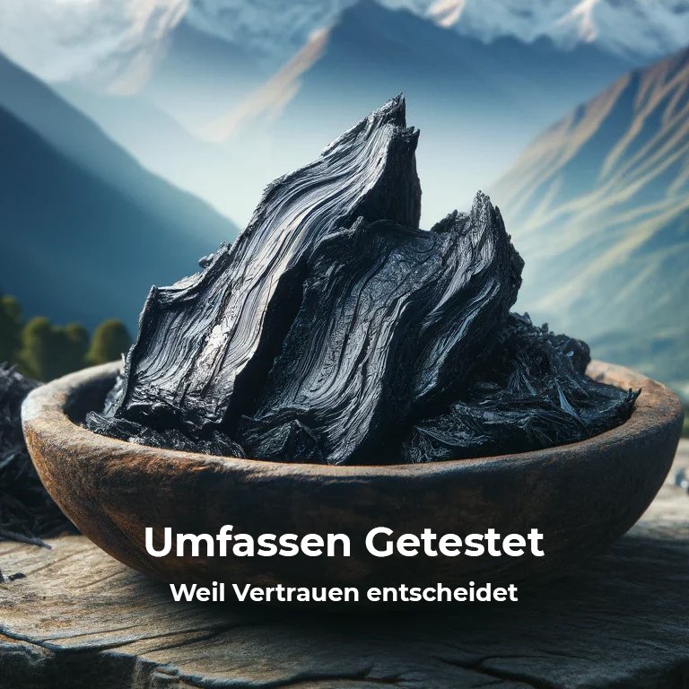 Himalaya Shilajit Image