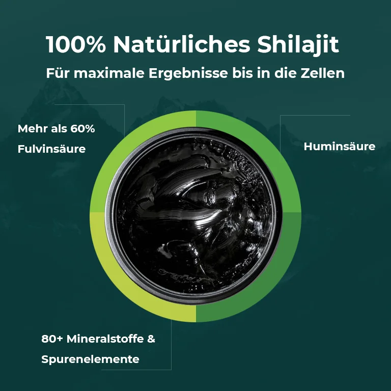 Himalaya Shilajit Image
