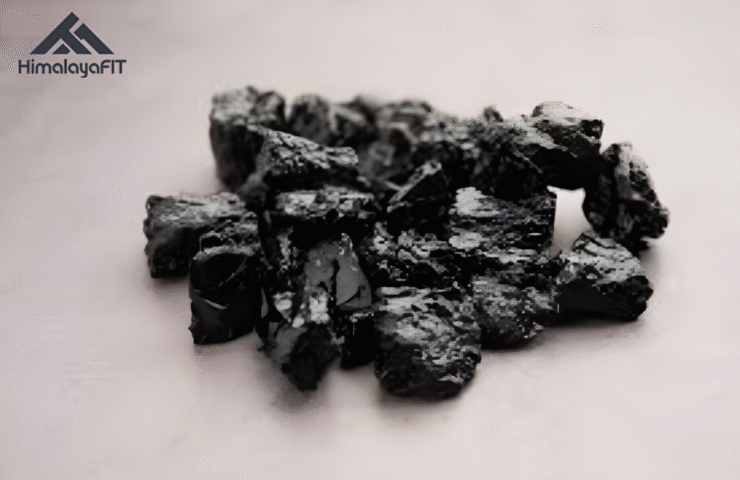 Shilajit was ist das