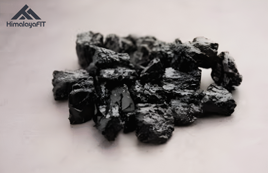 Shilajit was ist das